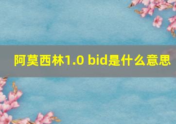 阿莫西林1.0 bid是什么意思